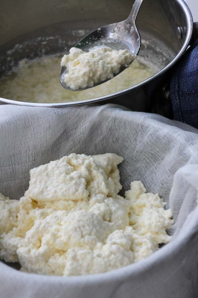 Fresh Ricotta in muslin cloth