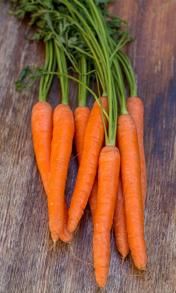 fresh carrots