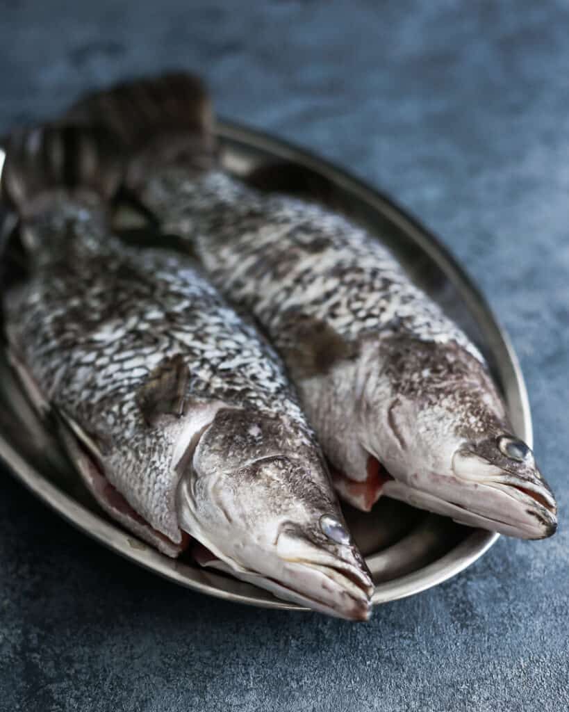 Barramundi fish ready to be cooked