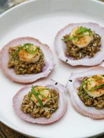 Canape style Risotto in scallop shell