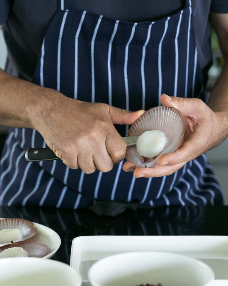 Fresh scallop in a shell