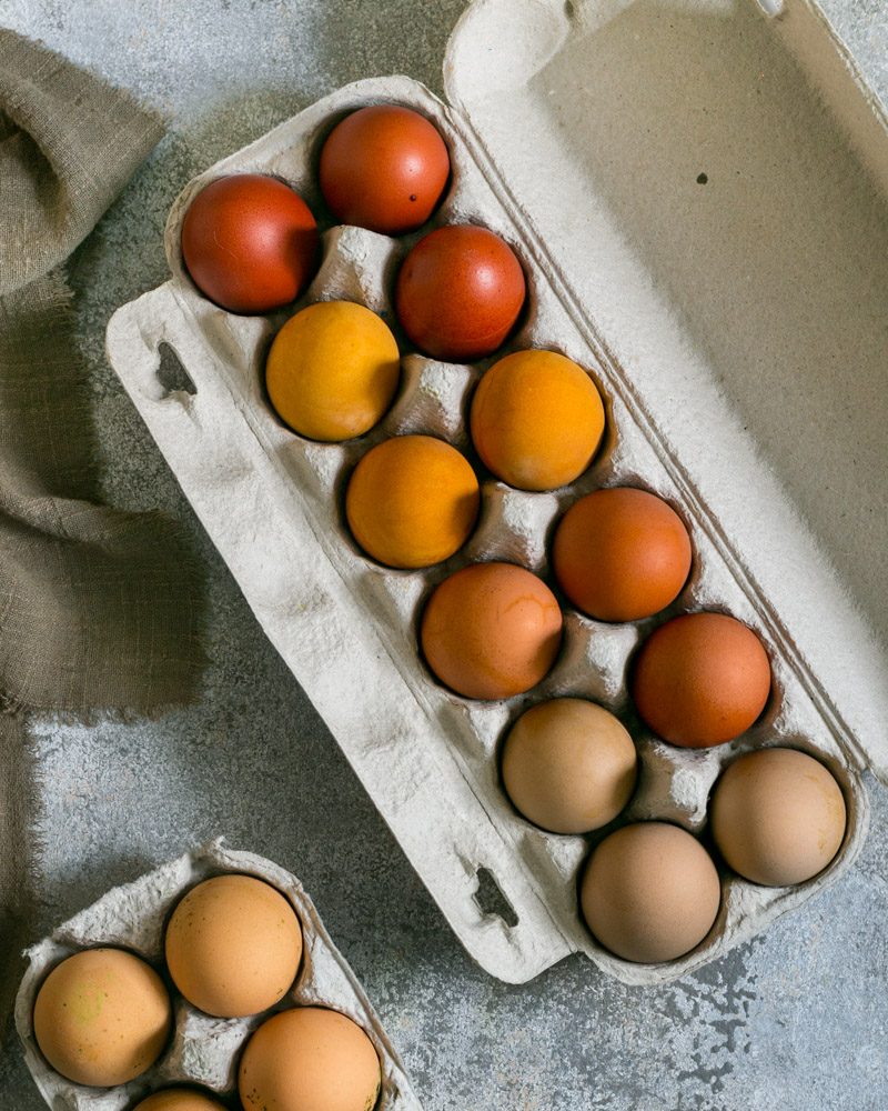 Colored eggs cooling in egg tray