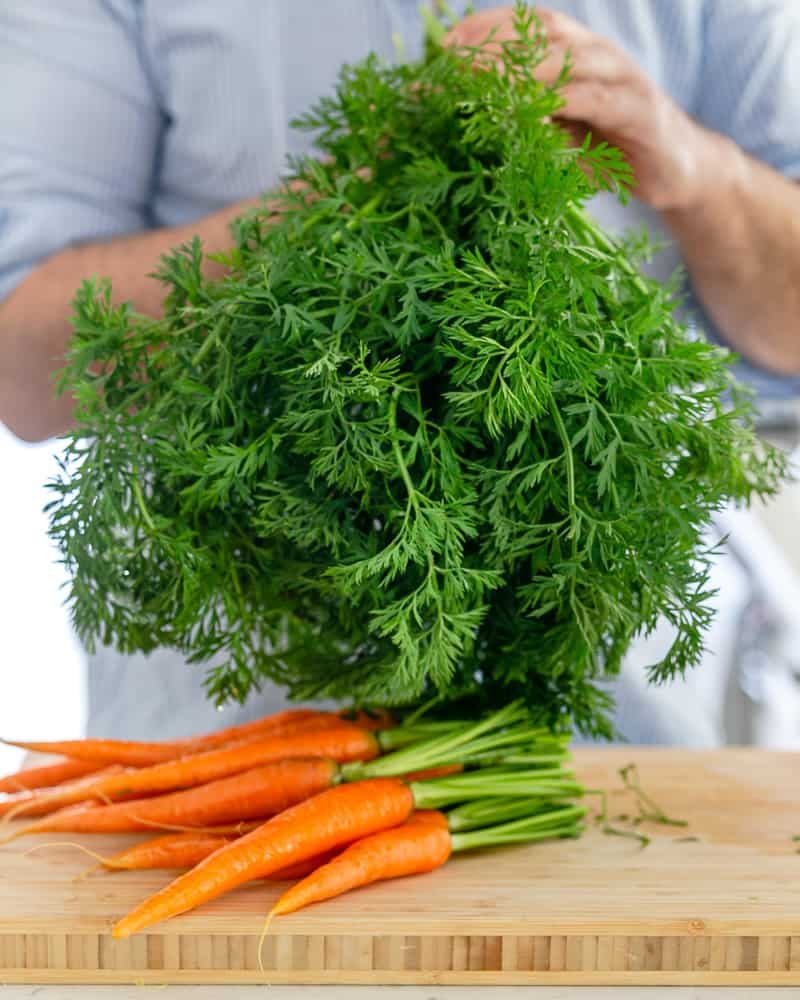 Greens removed from baby carrots to make oven roasted baby carrots with chimichurri