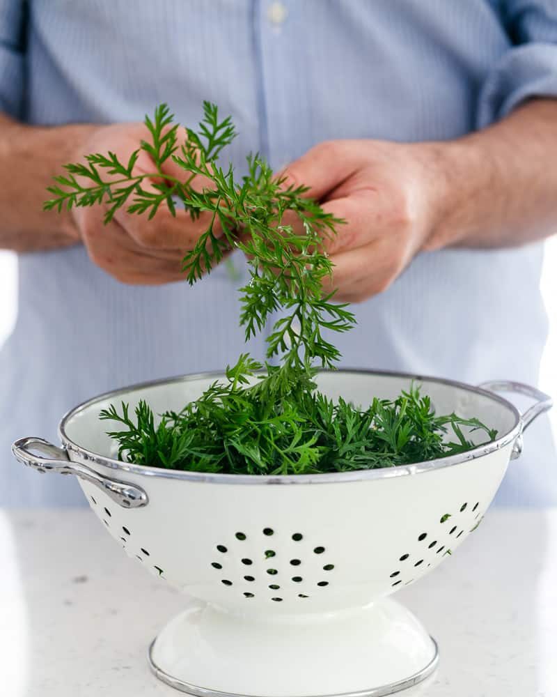 plucked greens from baby carrots 