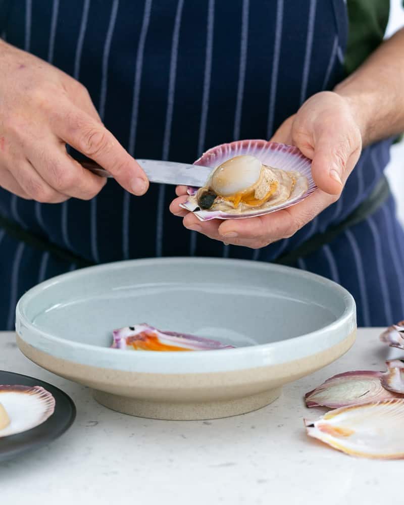 How to shuck and clean scallops