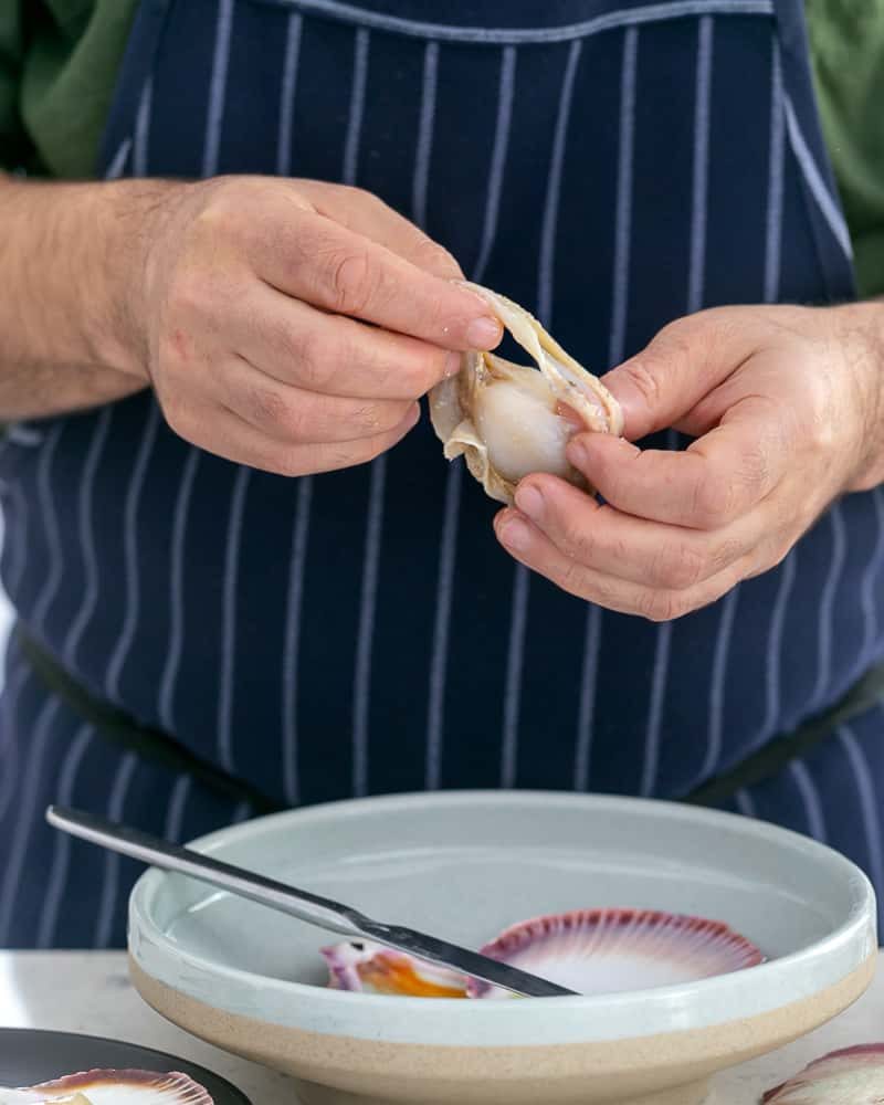 How to clean a fresh scallop in shell