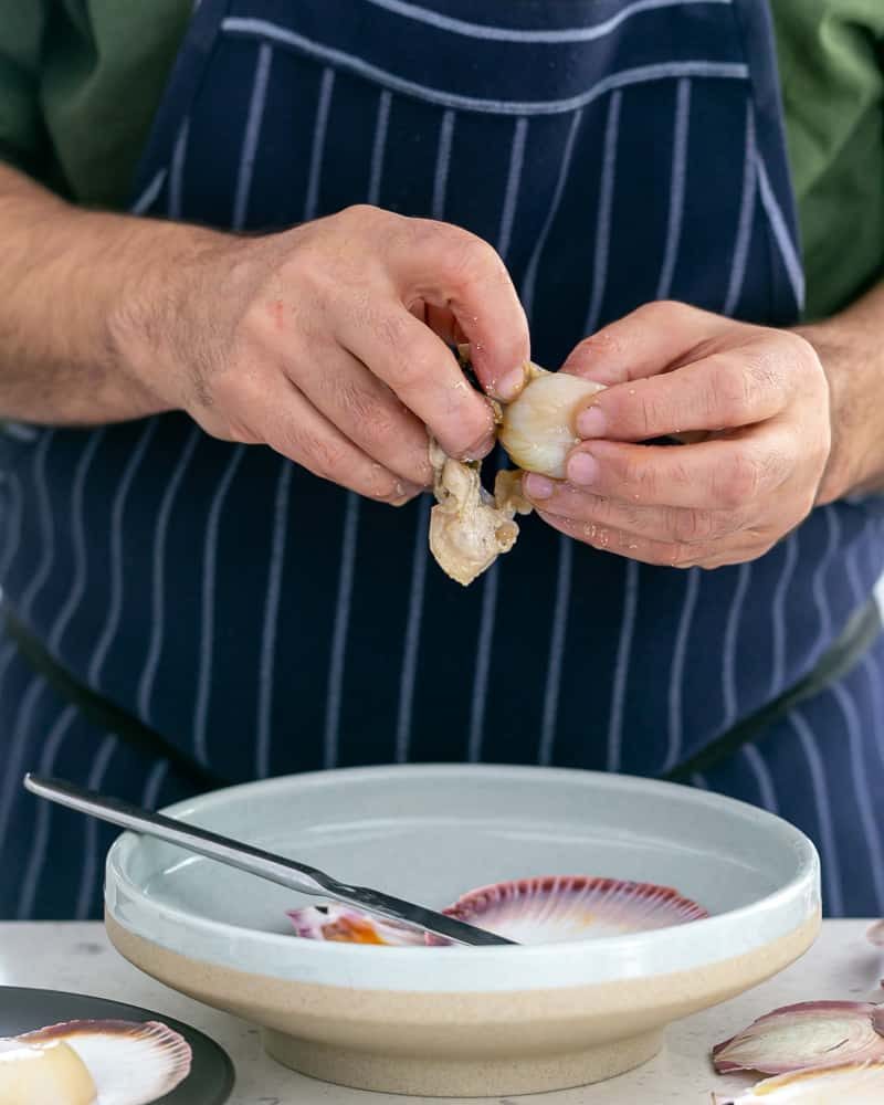 How to clean a fresh scallop in shell