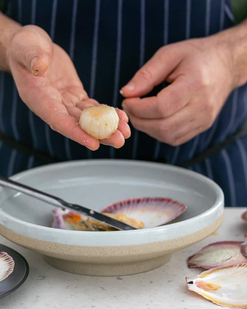 Freshly shucked and cleaned scallop