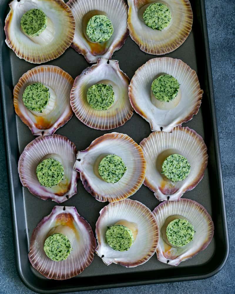 Baking tray lined with scallops in their shells with garlic butter