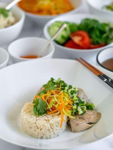 Chicken with ginger rice, vegetables and spring onion sauce beautifully plated with condiments in small bowls