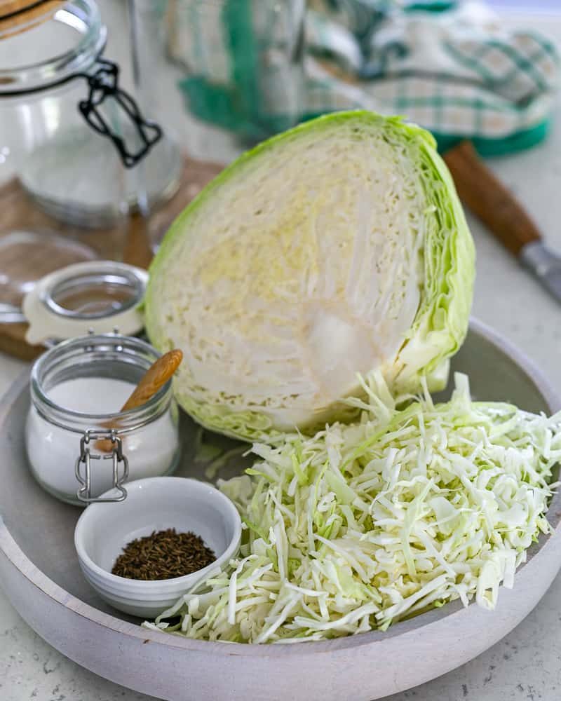 white cabbage shredded evenly, Salt in a jar, caraway seeds in a pinch bowl  to make sauerkraut