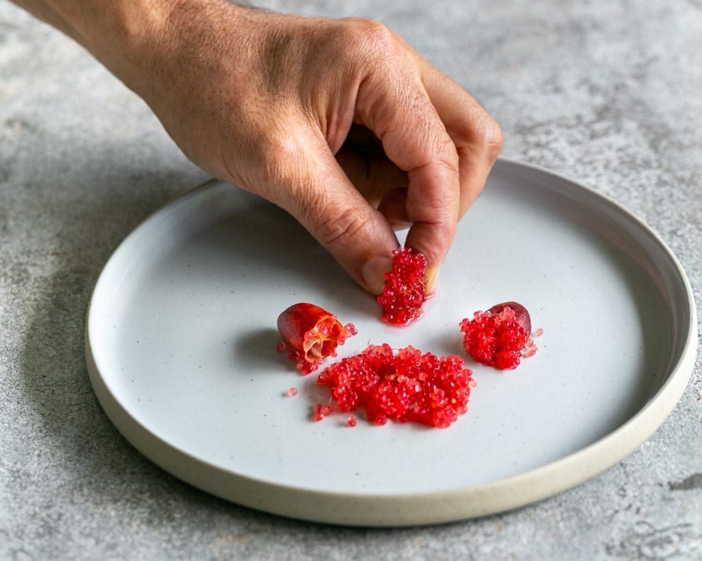 Australian Native Finger Lime