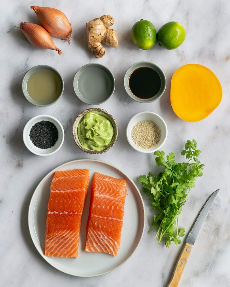 Ingredients to make salmon tartare