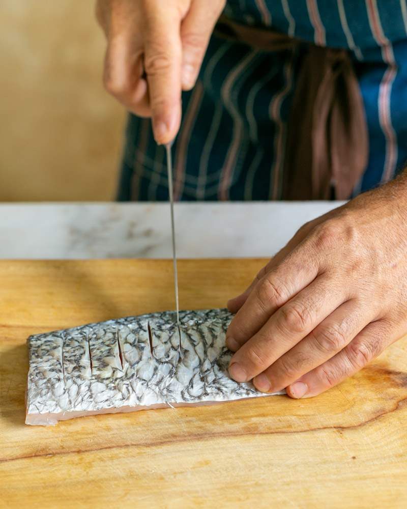 Scoring the barramundi