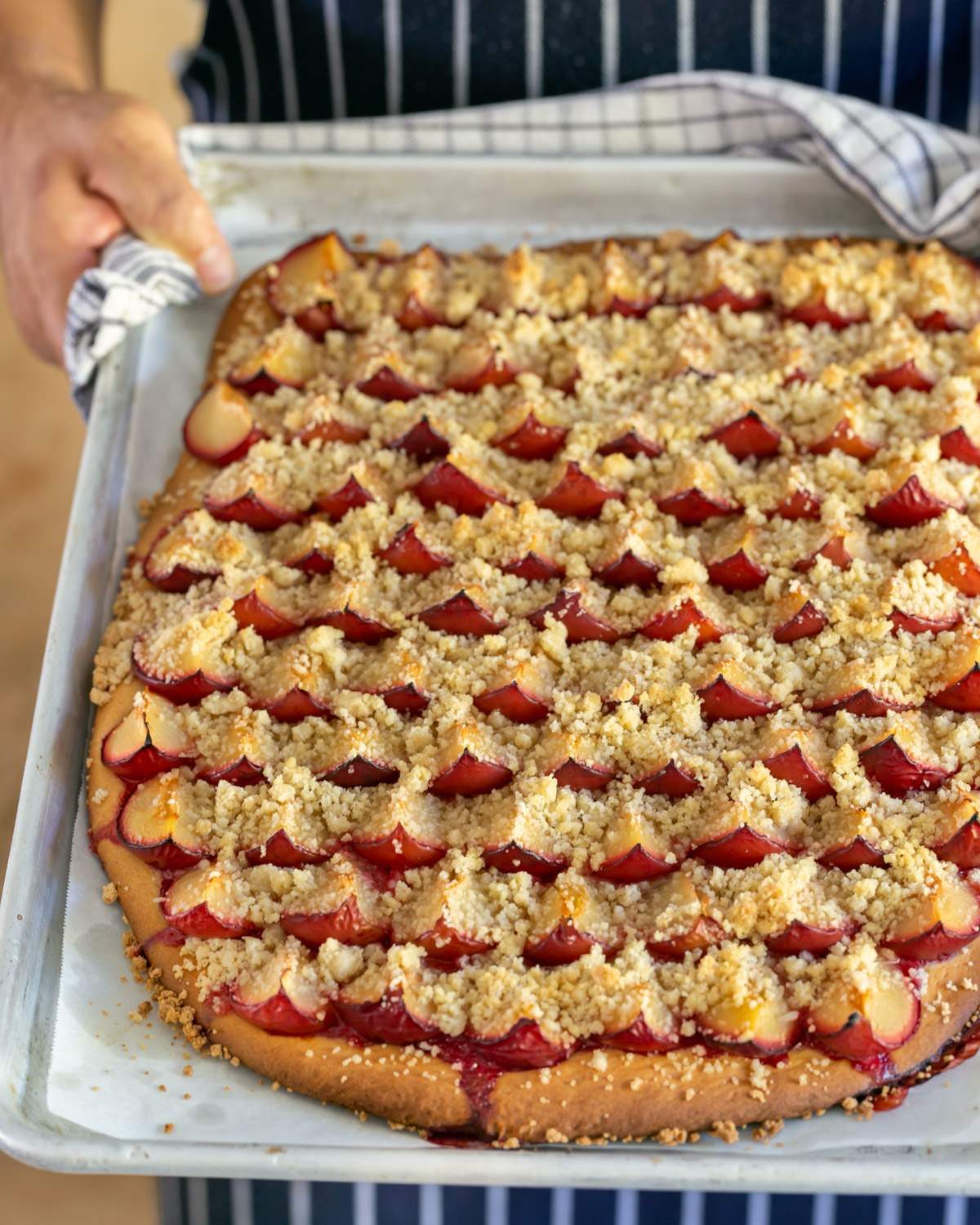 Baked German plum cake out of the oven