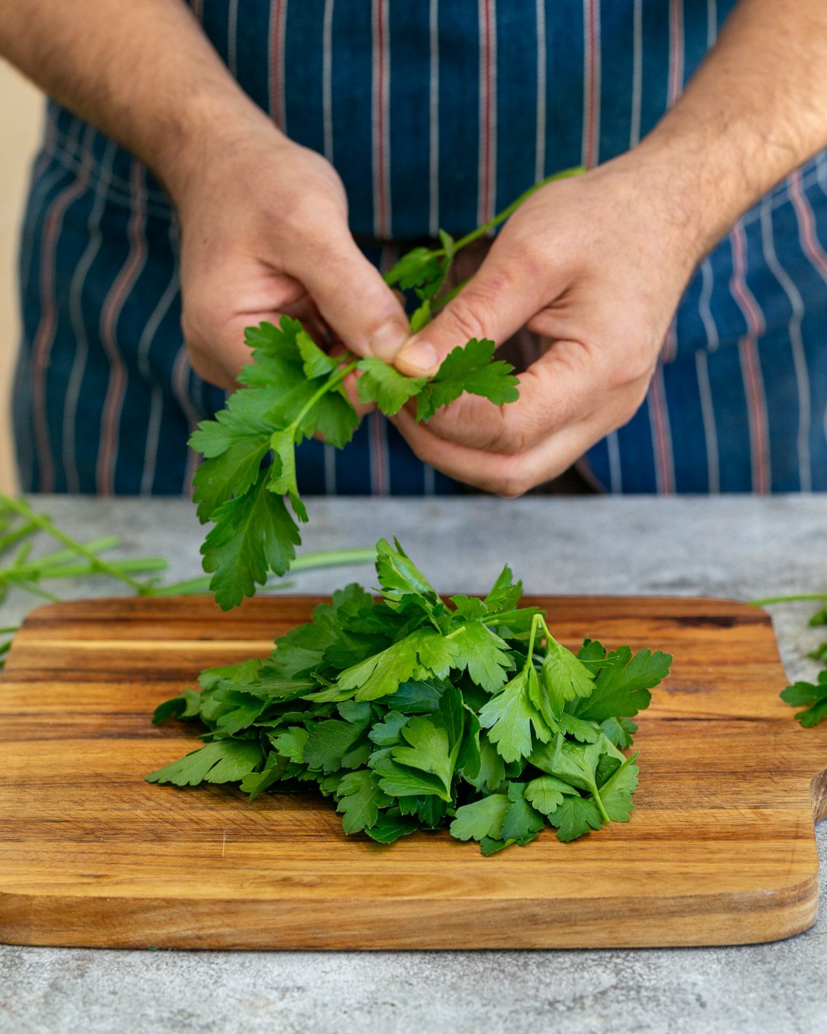 Picking fresh parsley to make gremolata